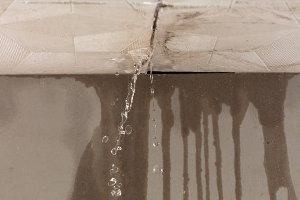 Professional Structural Drying technician working in Pinon, AZ